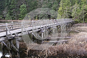 Wooden bridge on the Brohm Lake trail