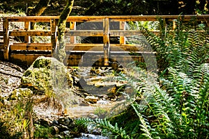 Wooden bridge on Cataract trail in Mt Tamalpais Watershed, Marin County, north San Francisco bay area, California