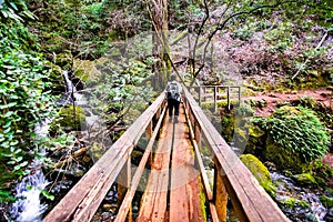 Wooden bridge on Cataract trail in Mt Tamalpais Watershed, Marin County, north San Francisco bay area, California photo