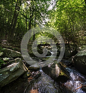 Wooden bridge crosses the Dardagna stream