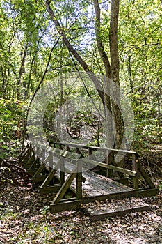 Wooden bridge crossing a creek in the woods