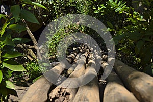 Wooden bridge crossing a small river made of small tree trunks in the jungle