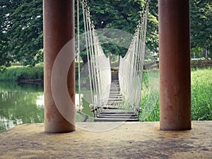 Wooden bridge crossing the swamp