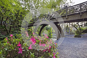 Wooden Bridge at Crystal Springs Rhododendron Garden