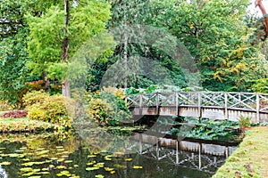 Wooden bridge with diagonal panels in Tatton Park, UK.