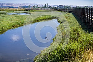 Wooden bridge in Don Edwards wildlife refuge