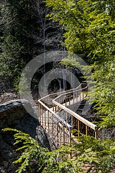 Wooden Bridge Through a Forest