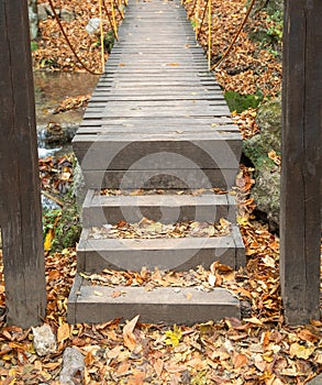 Wooden bridge at forest