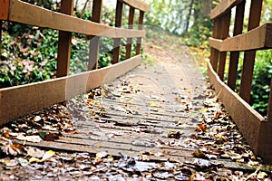 Wooden Bridge