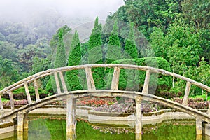 Wooden bridge and forest background