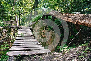 Wooden bridge forest fairytale