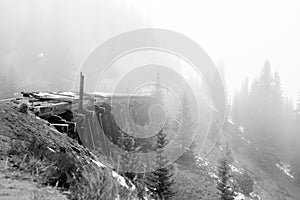 Wooden Bridge in the forest with heavy fog