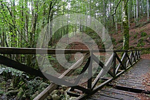 Wooden bridge in the forest near Vizzavona station, trekking route GR20, Corsica photo