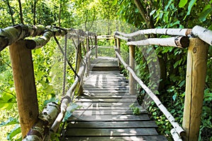 Di legno ponte foresta 