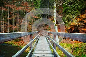 Dřevěný most v les 
