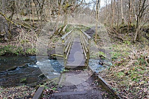 Wooden bridge forming part of a public trail through a woodland forrest crossing a stream