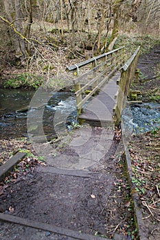 Wooden bridge forming part of a public trail through a woodland forrest crossing a stream