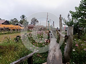 Wooden bridge in the garden