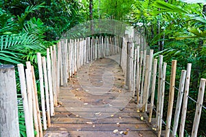 Wooden bridge in the garden