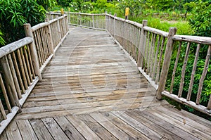Wooden bridge in the garden