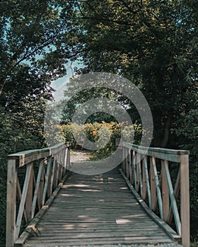 Wooden bridge in a garden surrounded by trees and flowers under sunlight