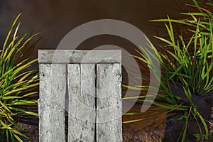 Wooden bridge, grass water. close-up. view from above