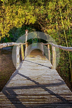 The wooden bridge has a walkway leading to the beautiful natural scenery