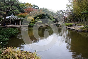 The wooden bridge in the Japanese garden