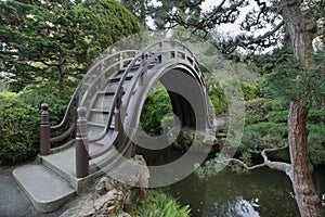 Wooden Bridge at Japanese Garden