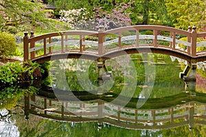 Wooden bridge in Japanese garden