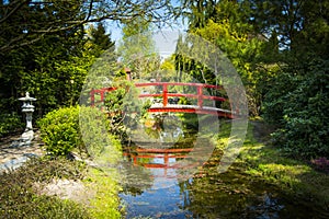 Wooden bridge in japanese garden