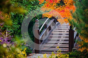 Wooden bridge in japanese garden