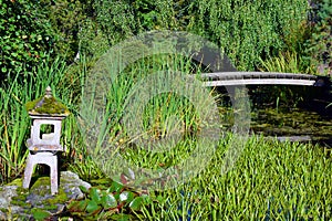 Wooden bridge and Japanese garden lantern on small lush pond.