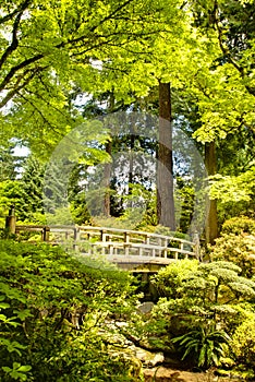 Wooden bridge, Japanese Garden, Portland, Oregon