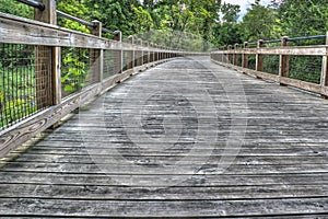 Wooden Bridge