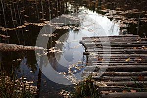 Wooden bridge on the lake.