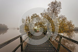 Wooden bridge leads to a hidden destination