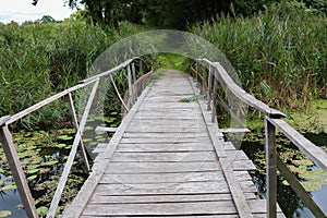Wooden bridge that is located on the lake green water lilies and reeds grow around it