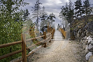 Wooden bridge with a log fence