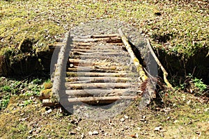 Wooden bridge made from trunks photo