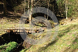 Wooden bridge made from trunks photo