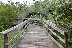 A wooden bridge in Mead Botanical Garden.