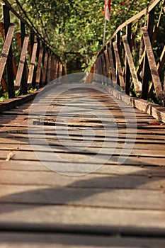 wooden bridge in the middle of the forest