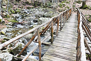 Wooden bridge mountain