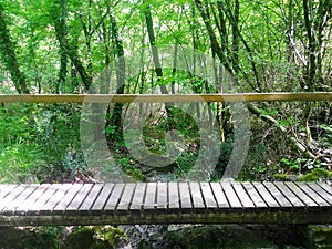 Wooden bridge in nature