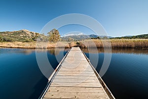 Wooden bridge at Ostriconi in Corsica