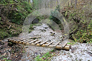 Wooden bridge over brook in mountain gorge