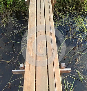 Wooden bridge over the Creek