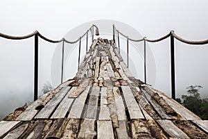 A wooden bridge over the jungle that breaks off at the end.