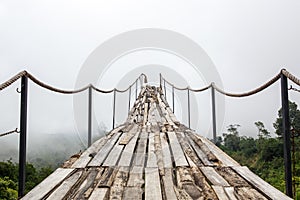 A wooden bridge over the jungle that breaks off at the end